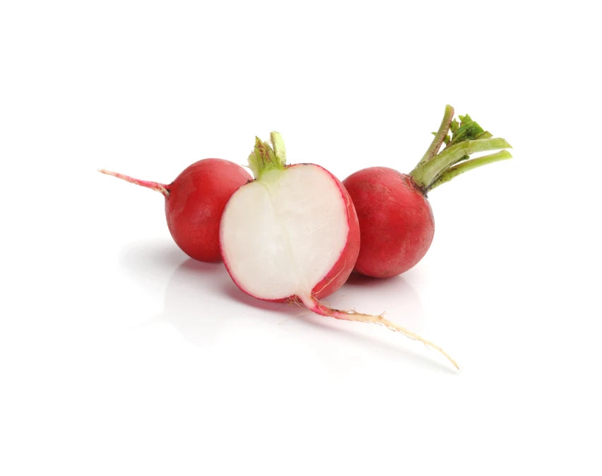 Radish Root Ferment Filtrate
